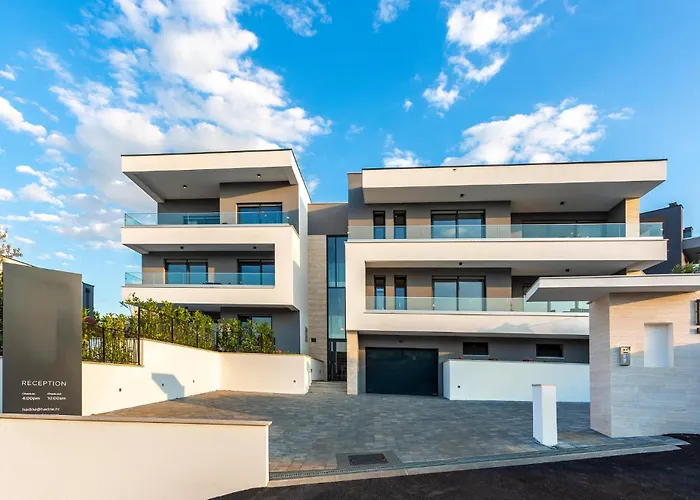 Pet Friendly In 公寓