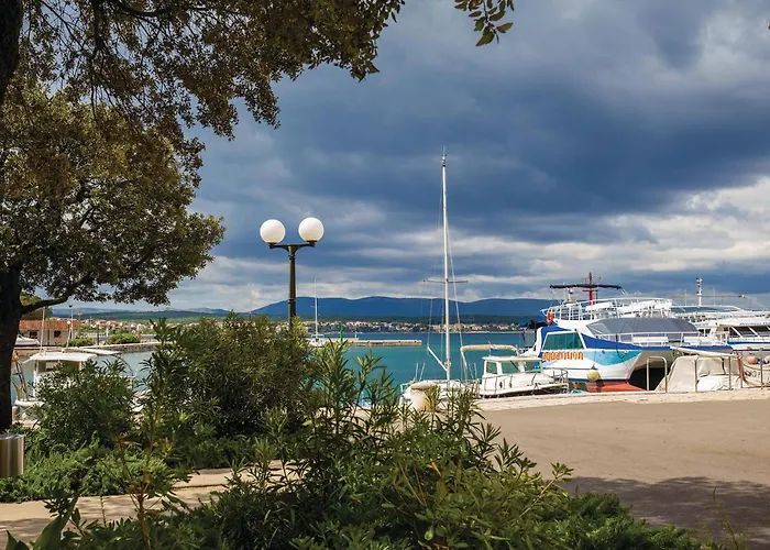 Pet Friendly In 公寓